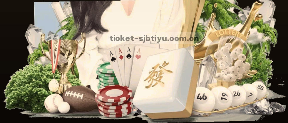 数据守护者：隐私之上